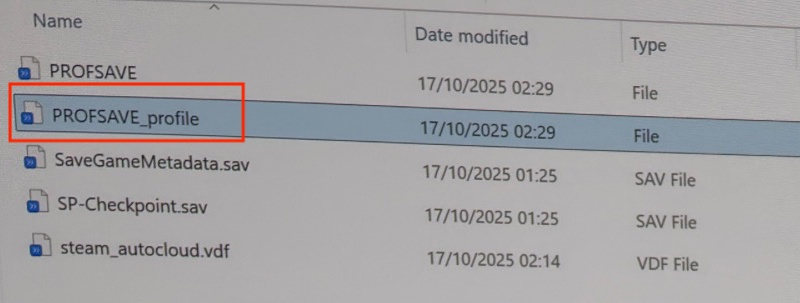 open the profsave file