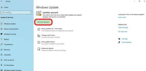 click on resume updates