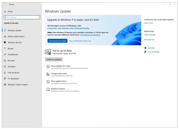 Windows 11 Update Not Showing [New!]