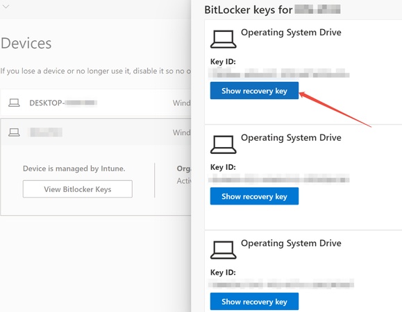 show recovery key