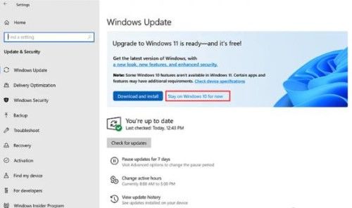 windows 10 auf windows 11 bleiben programme erhalten