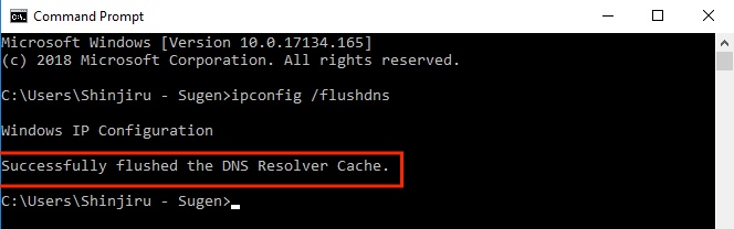 successfully flushed the dns resolver cache