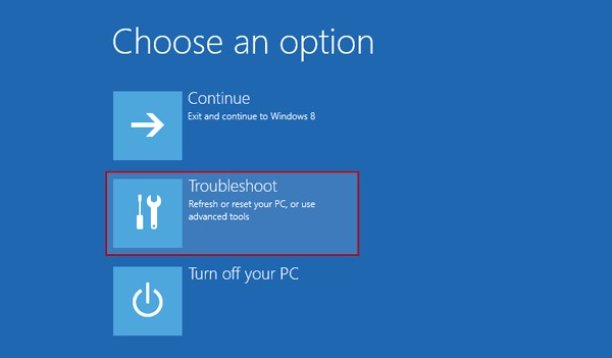 Troubleshoot Option