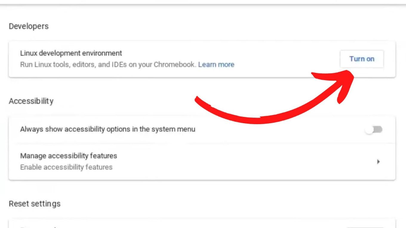 turn on linux development environment