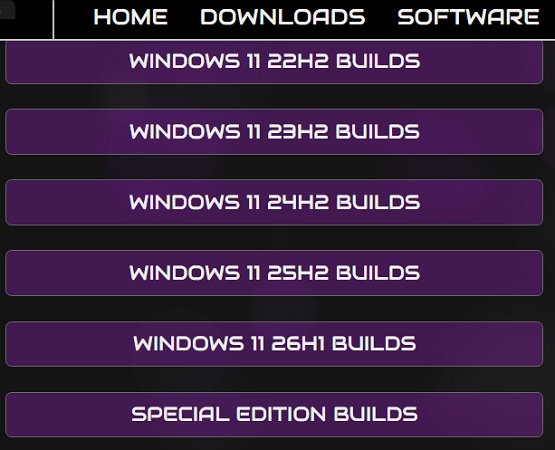 windows 11 lite builds