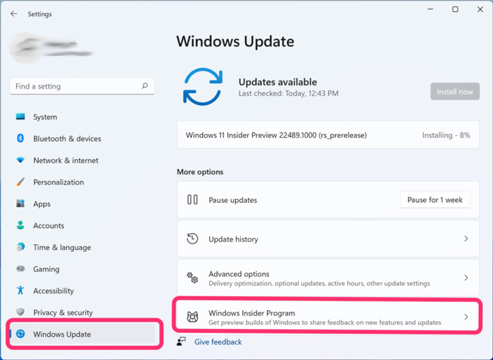 select windows insider program