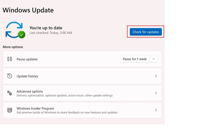 Run the Troubleshooter for Windows Update