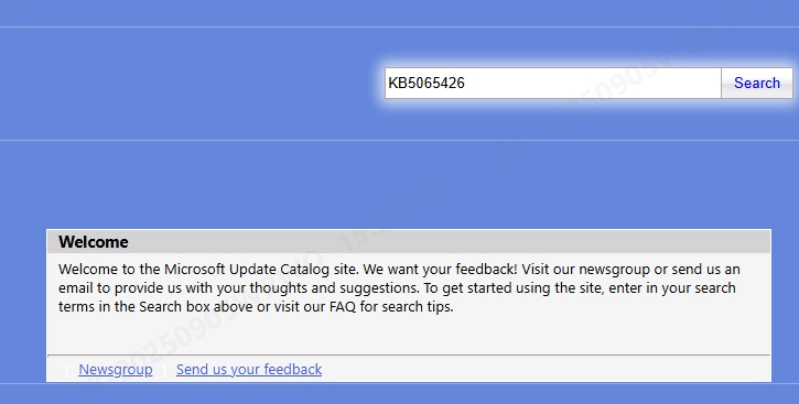 KB5065426 über Microsoft Update Katalog installieren