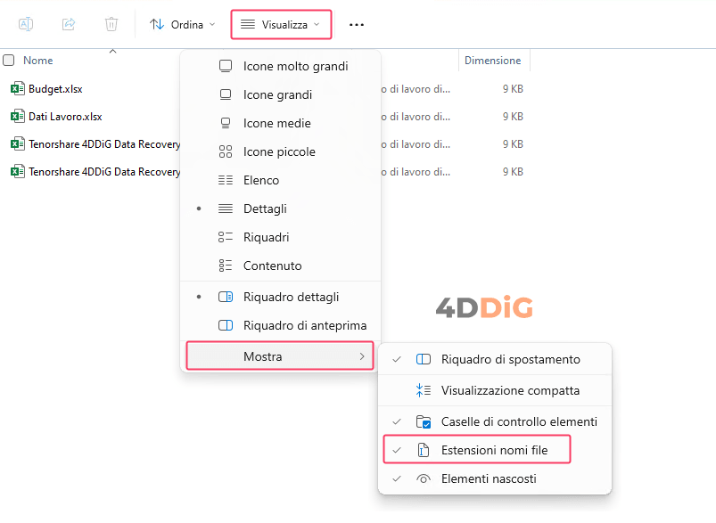 Il formato e l’estensione del file non corrispondono
