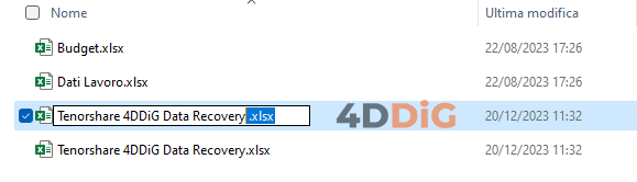 Il formato e l’estensione del file non corrispondono