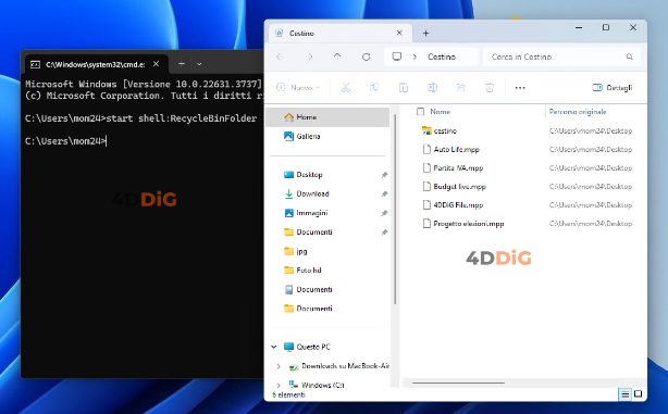 Aprire il cestino tramite CMD