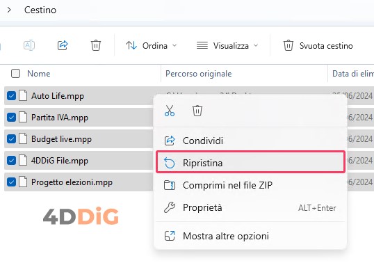 Controllare nella cartella Cestino
