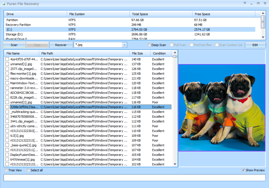 puran file recovery