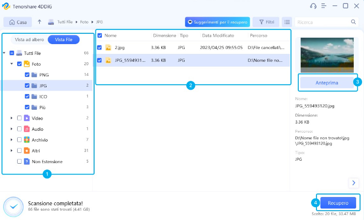 anteprima e recupero dei file