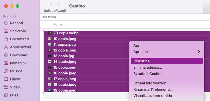 images/apri il cestino su riptistina