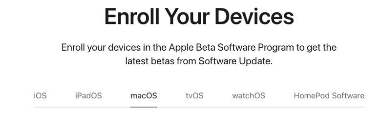 Avvio nel Programma Beta
