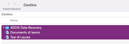 2.	Individua e seleziona i file eliminati