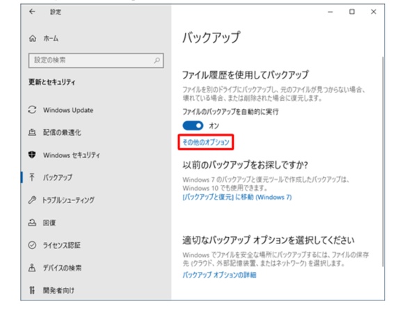 その他のオプション