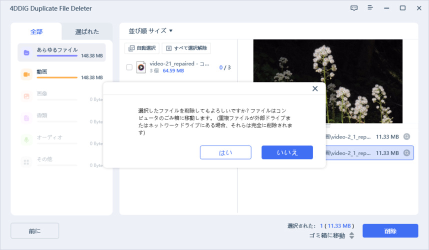重複動画ファイルを削除