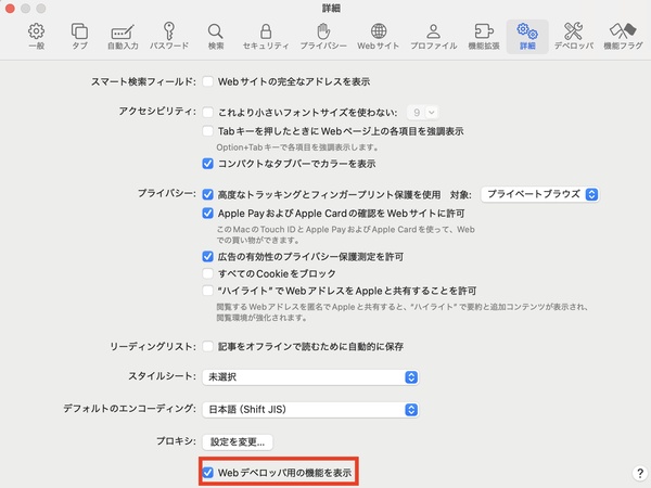 Webデベロッパ用の機能を表示にチェック