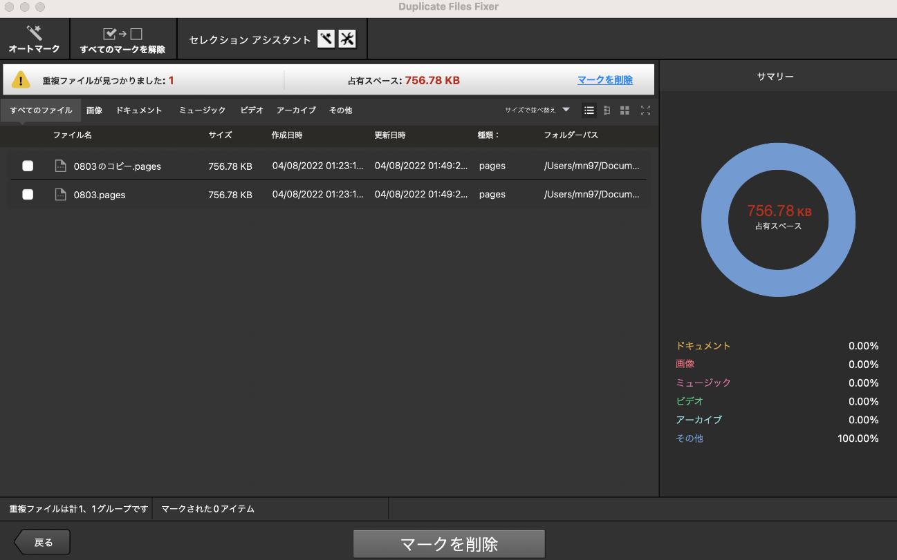 Duplicate File Fixer