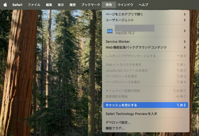 キャッシュを空にするを選択