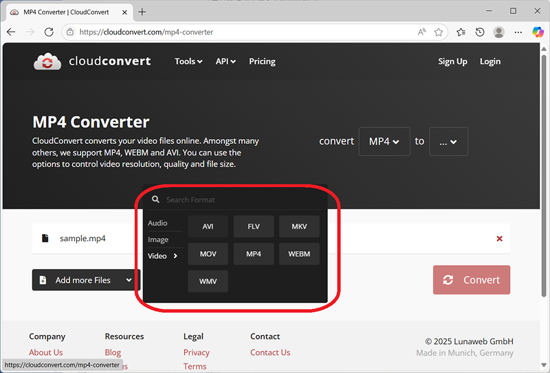 CloudConvertでMP4をAVIに変換する画面
