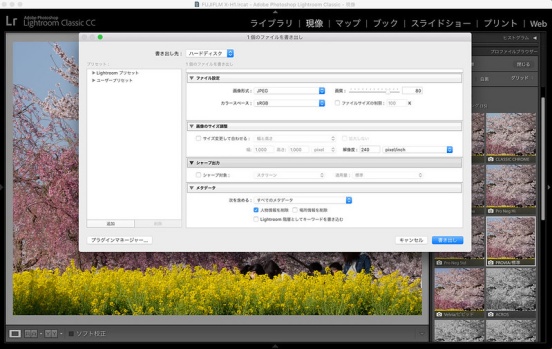 保存先を指定してJPEG形式で書き出す