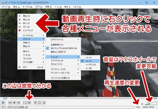 動画を再生する