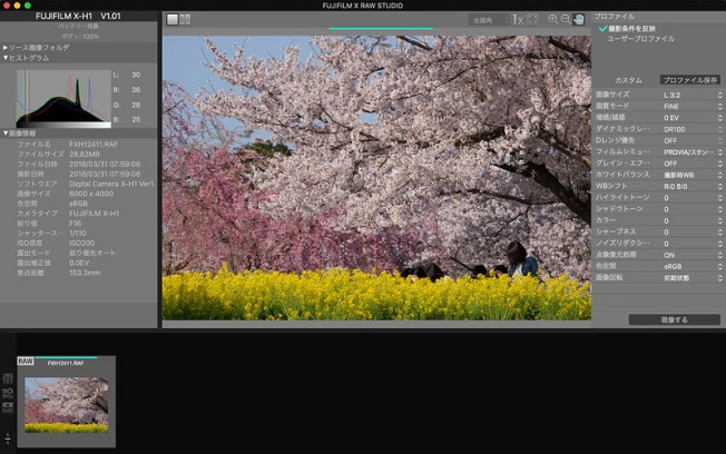 プレビュー画面で画像を確認する