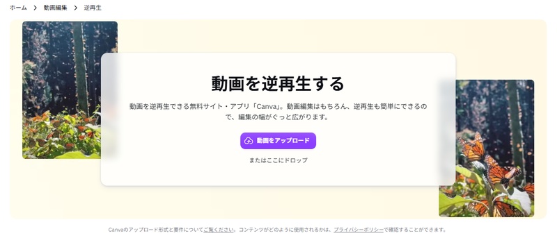 canvaで動画を逆再生