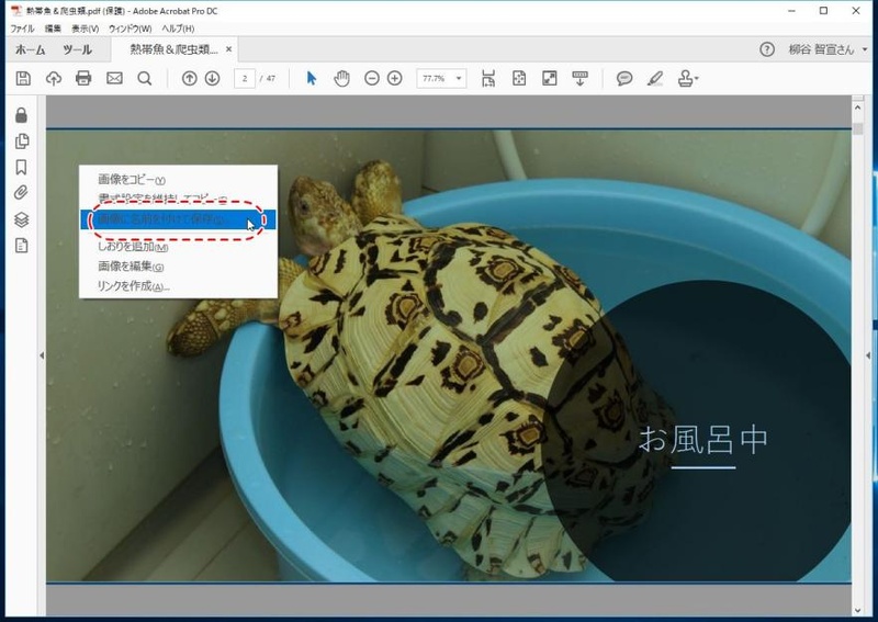 画像を右クリックして名前を付けて保存し形式を指定