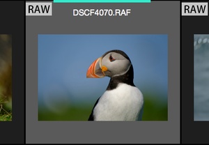 サムネイル一覧からFUJIのRAWファイルを選択する