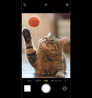 被写体をタップしてピントを合わせる