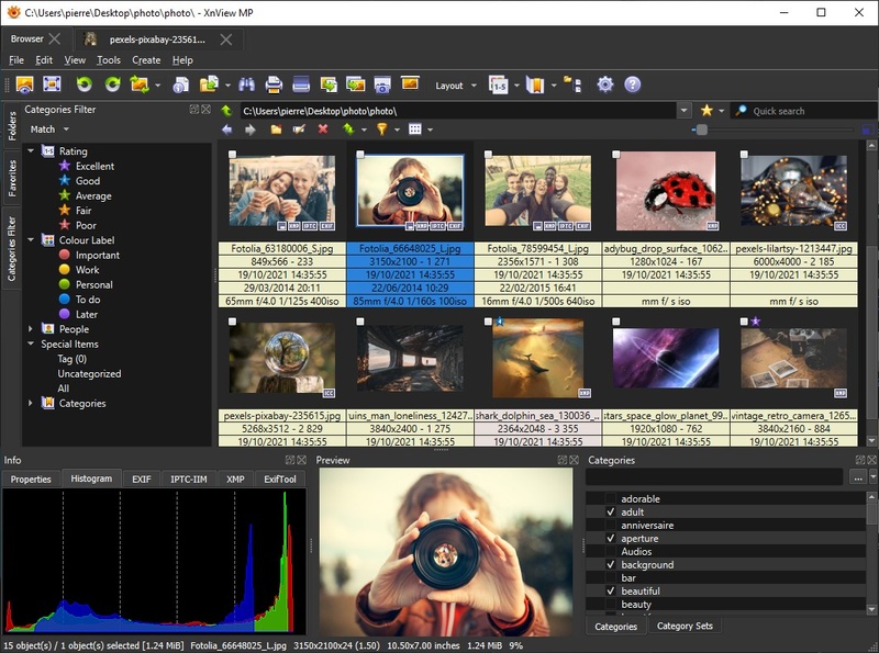 XnView MPビューア