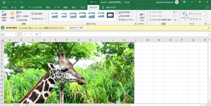 Excelで「図の形式」を選択