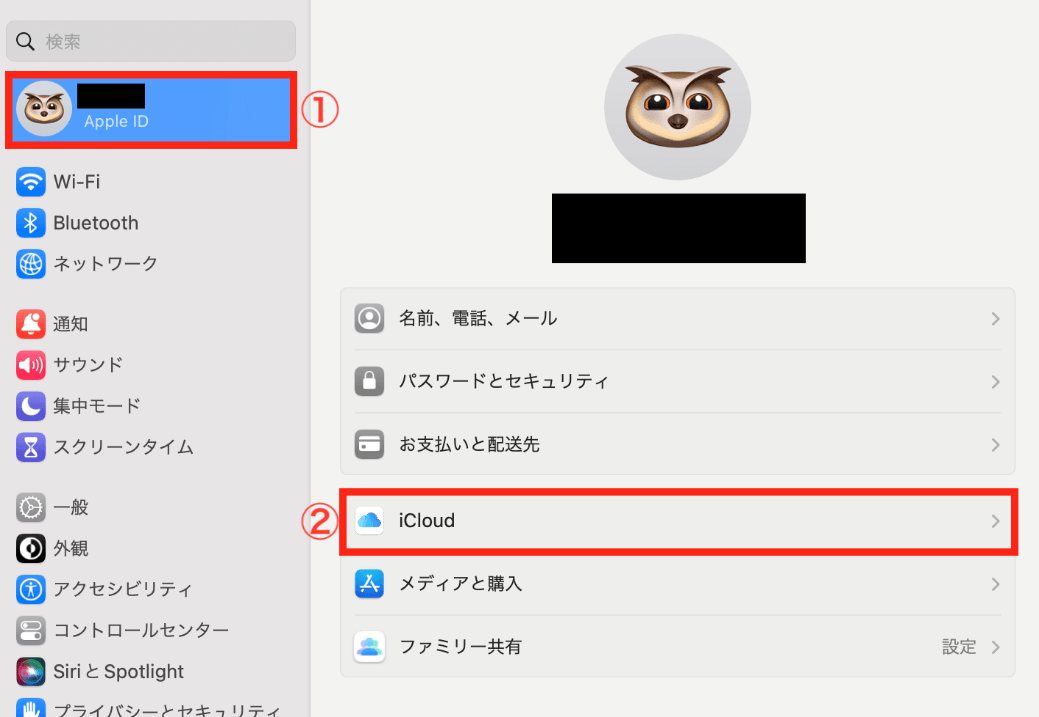 iCloud
