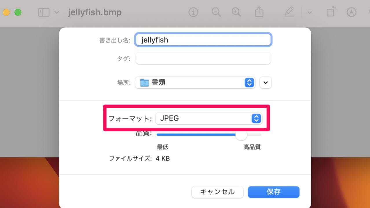 「JPEG」を選択