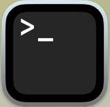 「ターミナル」を起動