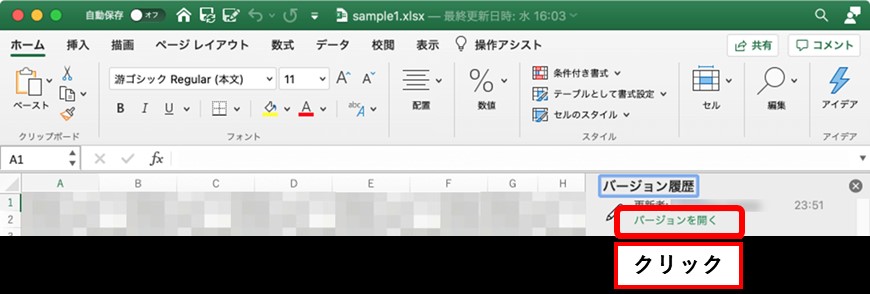 バージョンを開く
