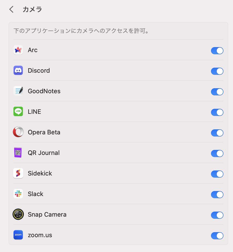 カメラをオフ