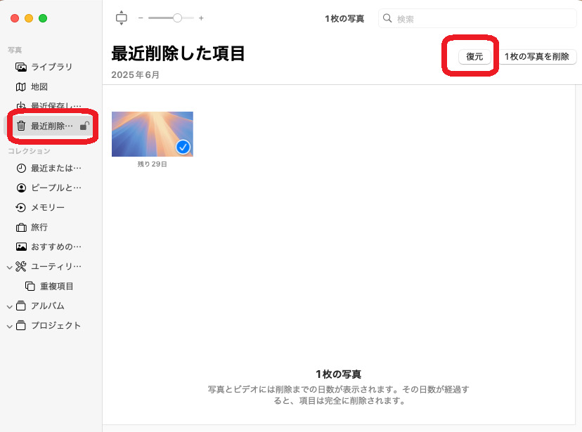 Recover from Recently Deleted Itmes