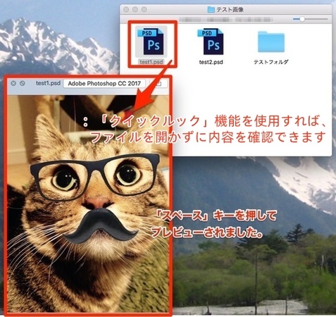 「クイックルック」を使ってファイルをプレビュー