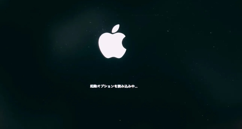 起動オプションを読み込み中