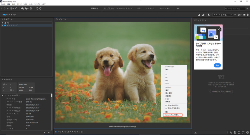Adobe BrigeでCamera Rawで開く