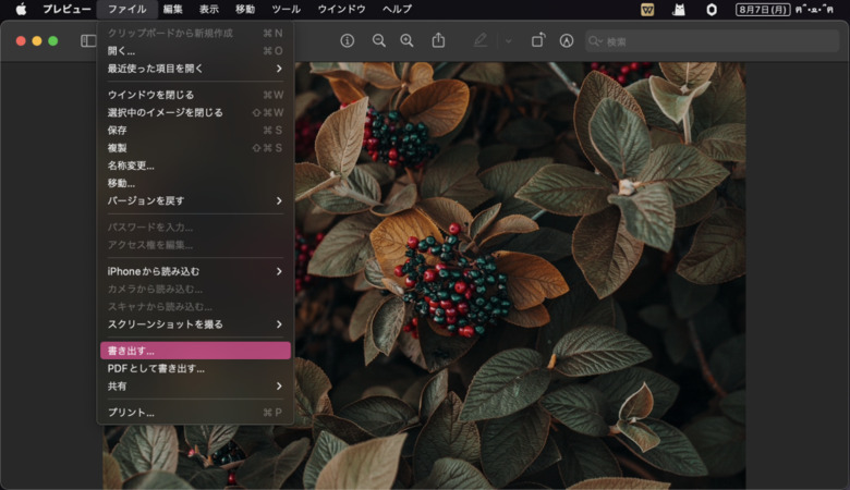 レビューでHEICをJPGに変換する