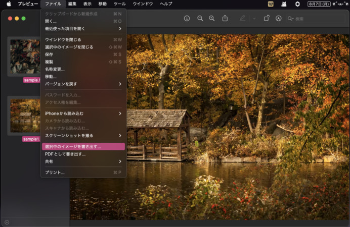 選択した画像をエクスポート