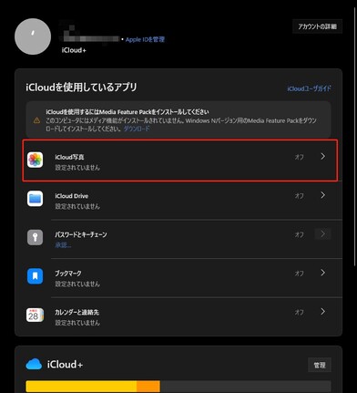 iCloud 옵션