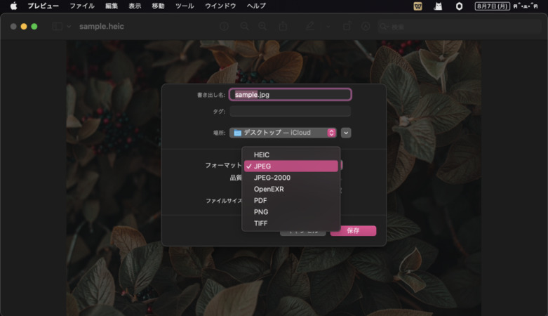 HEICをJPGとして保存