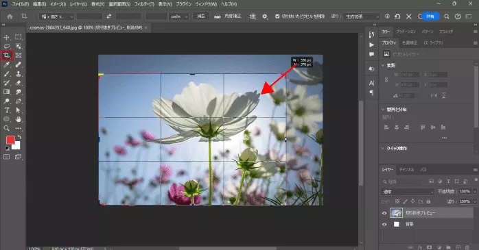Photoshopで写真を切り抜く